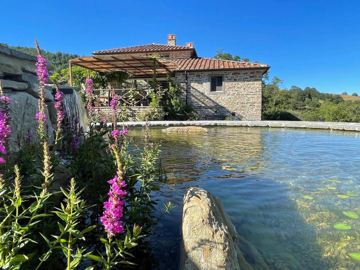 Agriturismo Biologico Autosufficienza بانيو دي رومانيا المظهر الخارجي الصورة