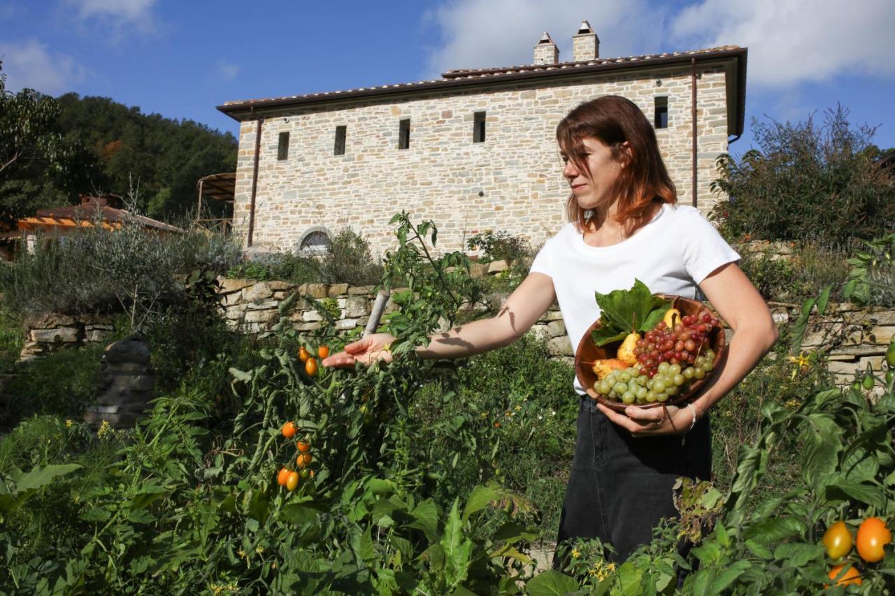 Agriturismo Biologico Autosufficienza بانيو دي رومانيا المظهر الخارجي الصورة