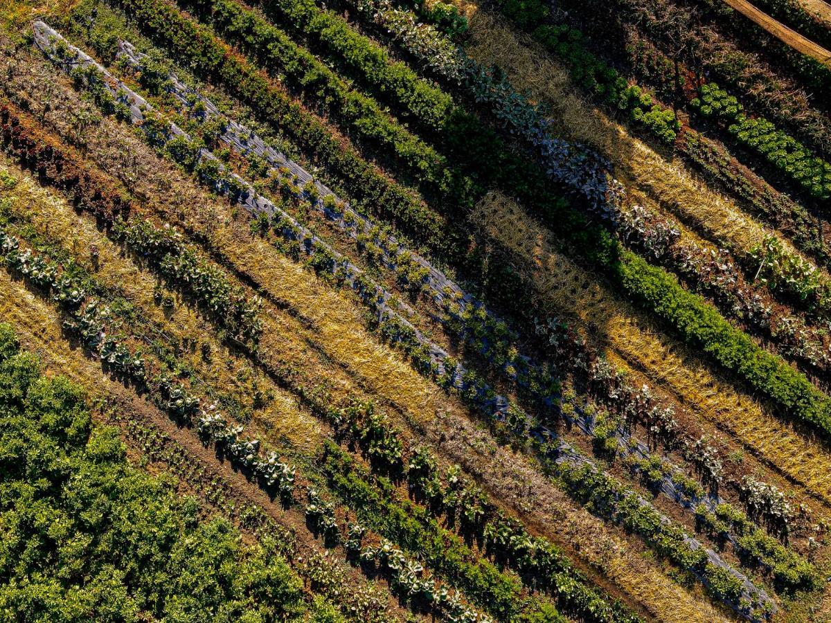 Agriturismo Biologico Autosufficienza بانيو دي رومانيا المظهر الخارجي الصورة